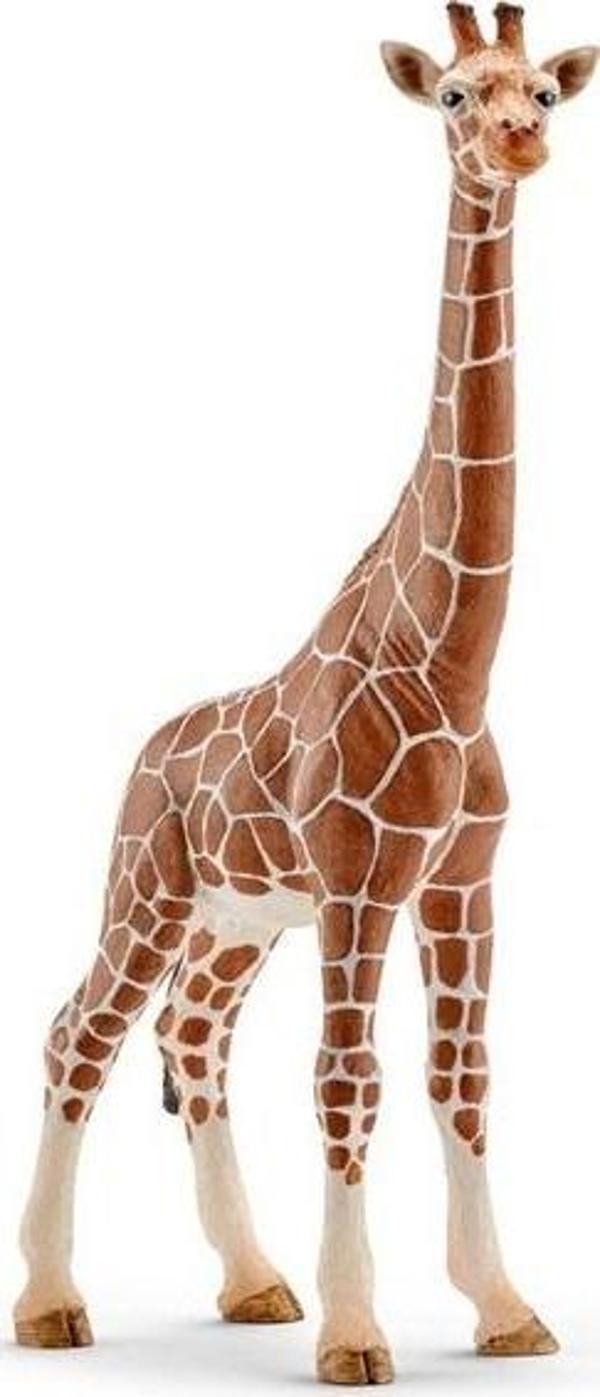 Schleich Dişi Zürafa 14750 - Image 1