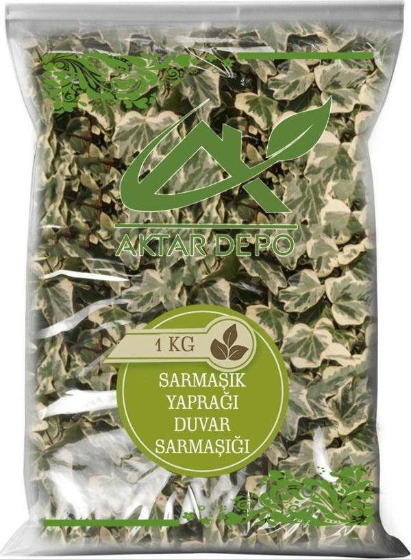 Aktar Depo Sarmaşık Yaprağı (Duvar Sarmaşığı) - Image 1