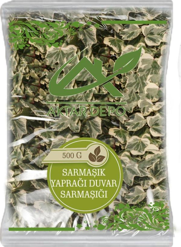 Aktar Depo Sarmaşık Yaprağı (Duvar Sarmaşığı) 500Gr - Image 1