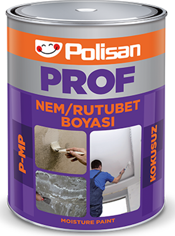 Polisan Prof P-MP Nem/Rutubet Boyası 1kg - Image 1
