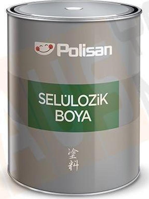 Polisan Selulozik BOYA 2,5KG (Yeşil) - Image 1