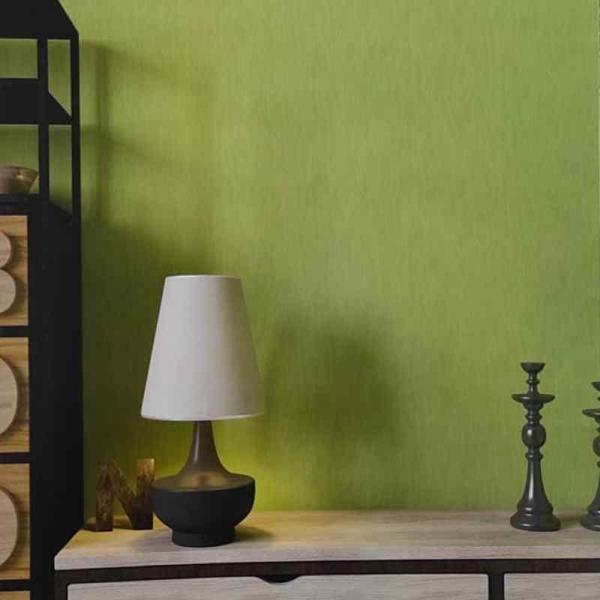 ANKAWALL PİCASSO 2 BOYANABİLİR DUVAR KAĞIDI 7010 (26.5m2) - Image 1