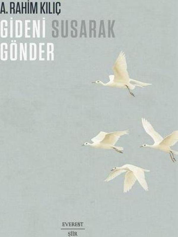 Gideni Susarak Gönder - Everest Yayınları - Image 1
