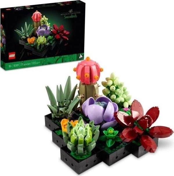 LEGO İkon Sukulent Yapı Seti  Çok Renkli - Image 1