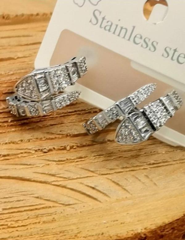 Kararmaz Çelik Lüks Küpe - Image 1