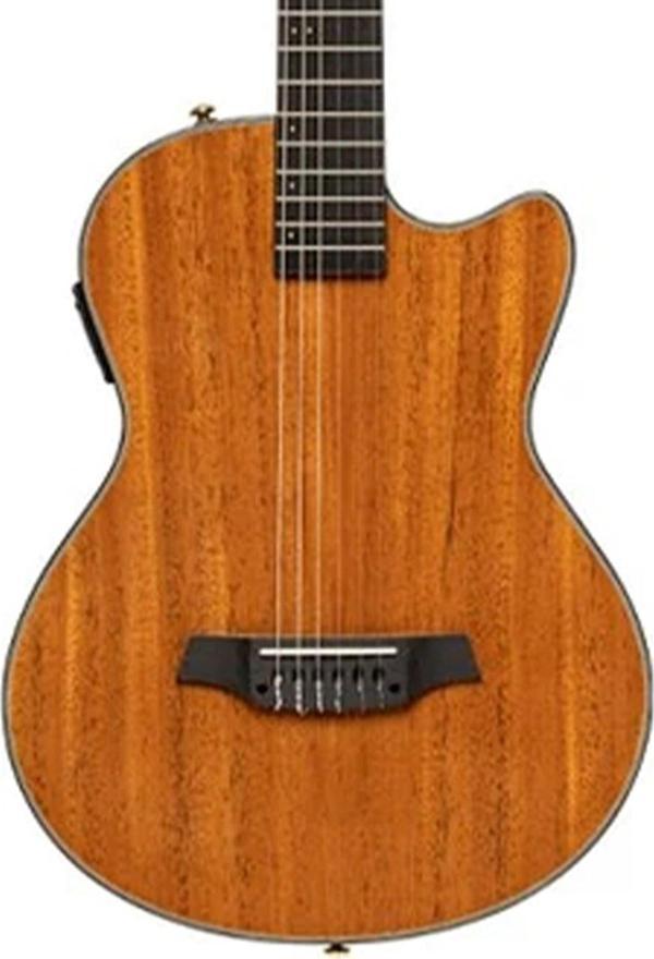Angel Lopez EC3000 Elektro Klasik Gitar - Image 1