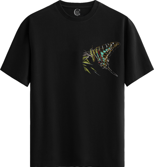 Colorful Cadence - %100 Pamuklu Kadın Siyah Tişört - Premium Quality - Image 1