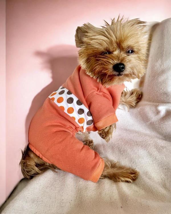 Puanti Kalın Penye Köpek Tulum Pijama - Image 1