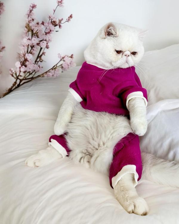 Foxie Polar Kedi Tulum Pijama - Image 1