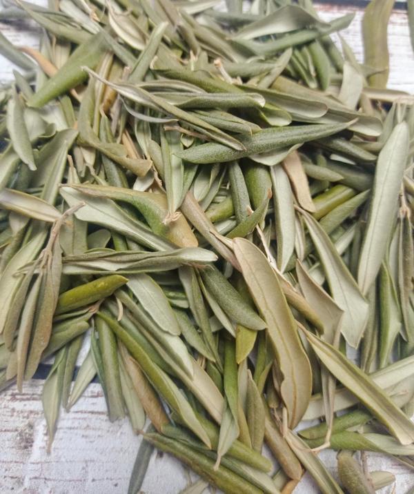 Zeytin Yaprağı Çayı  ( 50 GR ) - Image 1