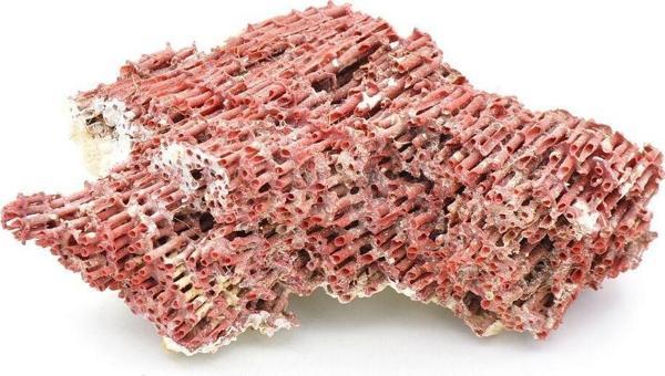 Hakiki Doğal Kırmızı Mercan Kaya Parçası 96 Gram - Image 1