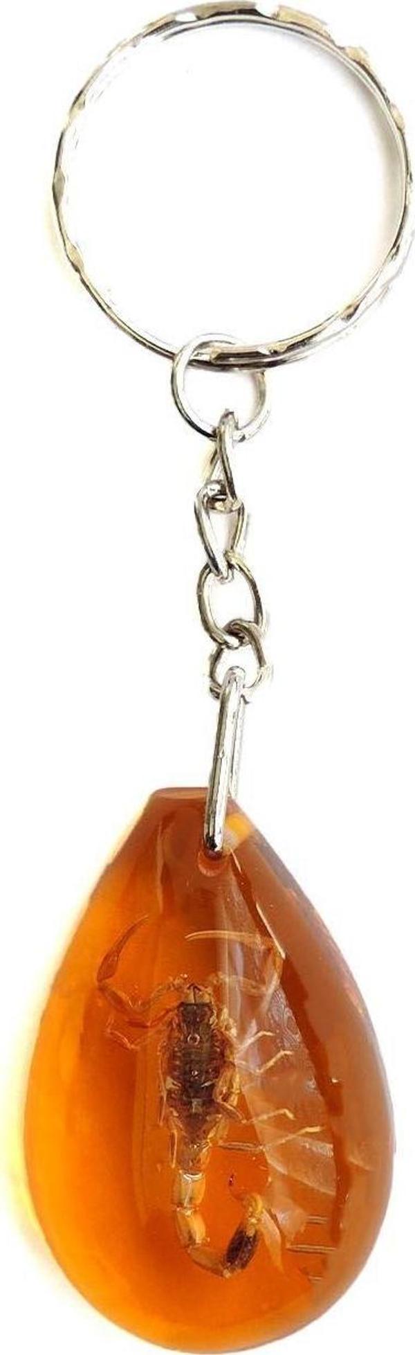 Akrep Fosilli Anahtarlık Oval Tasarımlı - Image 1