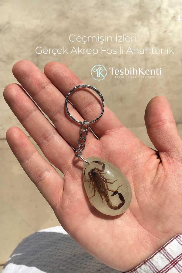 Yeşil Renk Akrep Fosilli Anahtarlık Model 4 - Image 1