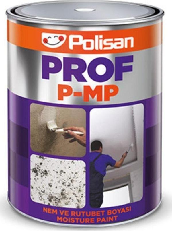 Polisan Prof P-Mp Nem Ve Rutubet Boyası 5 Kilogram - Image 1