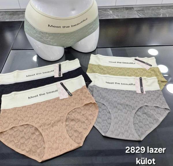 Sade İç Giyim Meet The Beautiful F.K./Pants Lazer Kesim Kadın Külot Gri 2XL - Image 1