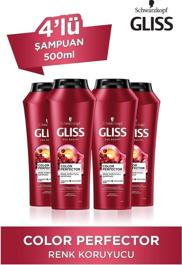 Gliss  Renk Koruyucu Şampuan 4 x 500 ML - Image 1