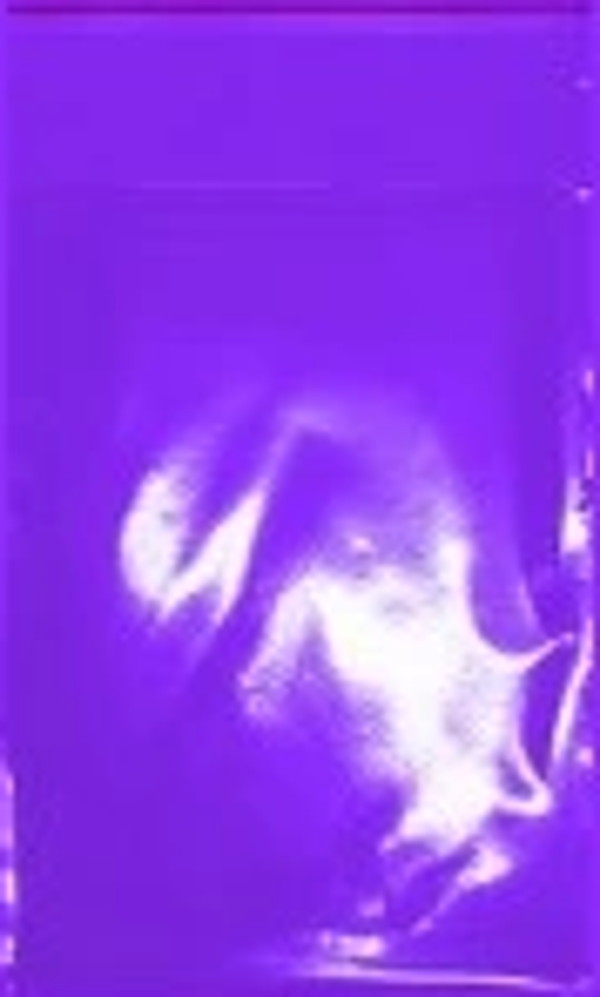 ŞEFFAF BANTLI POŞET (8X15) OPP 1000 adet - Image 1