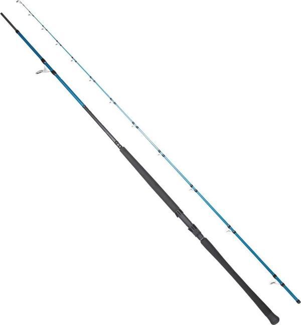 Ryuji Shore Game Fuji KW 295 cm 30-100 gr Shore Jig Kamış - Image 1