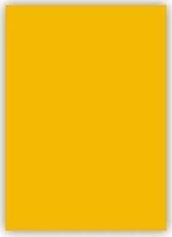 Alex Schoeller Fon Kartonu 160 Gram 25X35Cm 53 Sarı (100 Lü Paket) - Image 1