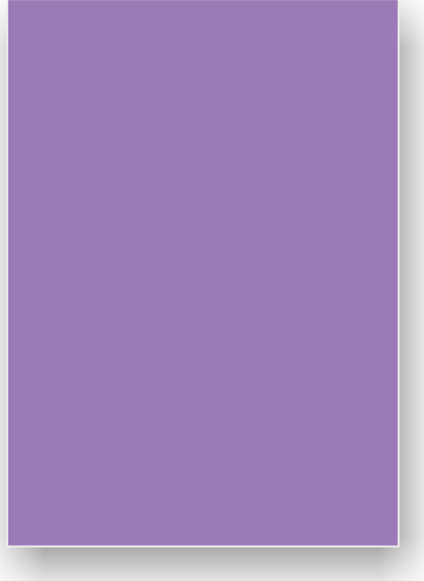 Alex Schoeller Fon Kartonu 25X35Cm No:49 Mor (100 Lü Paket) - Image 1