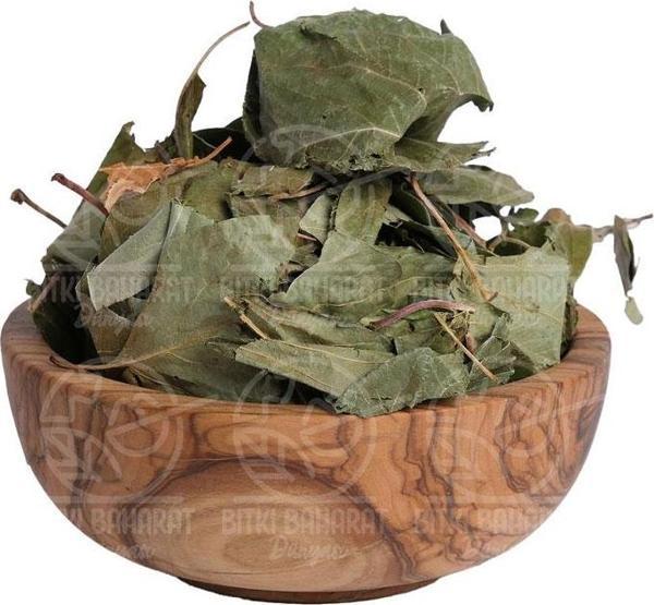 Ayva Yaprağı 50 Gr - Image 1