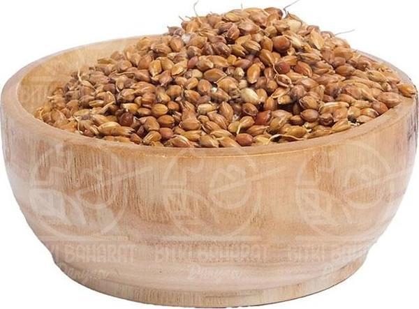 Süpürge Otu Tohumu 100 Gr - Image 1