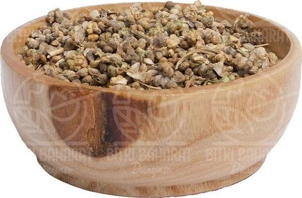 Ispanak Tohumu 100 Gr - Image 1