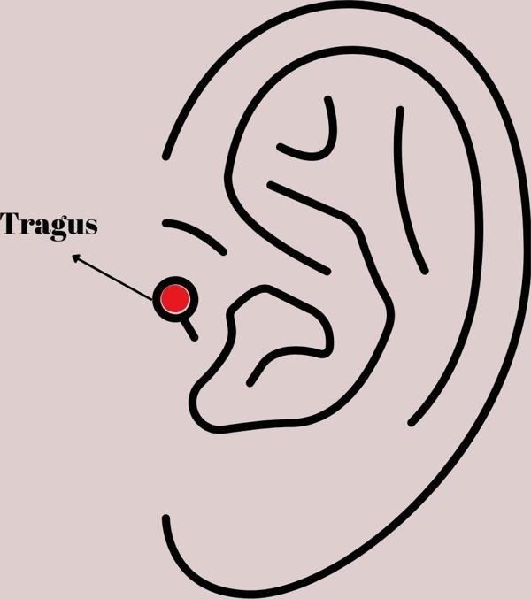 Zarif Kadın için Silver Çelik Zirkonlu Kalp Style Tragus Piercing - Image 1