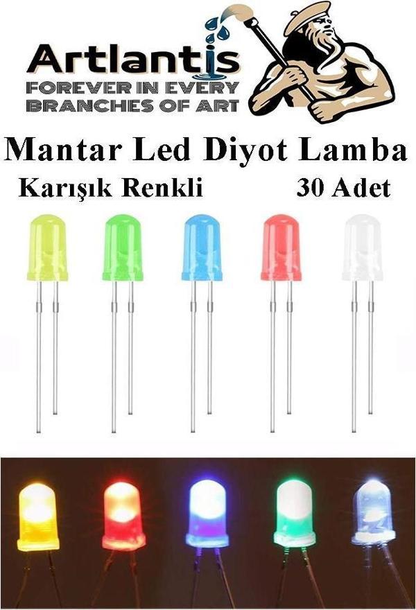 Mantar Led Diyot Lamba 30 lu 1 Paket Karışık Renkli 4.8 mm Mini Mantar Led Lamba - Image 1