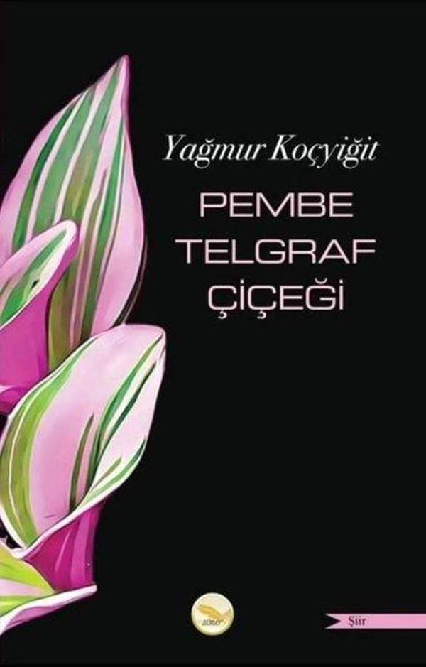 Pembe Telgraf Çiçeği - Simer Yayınevi - Image 1