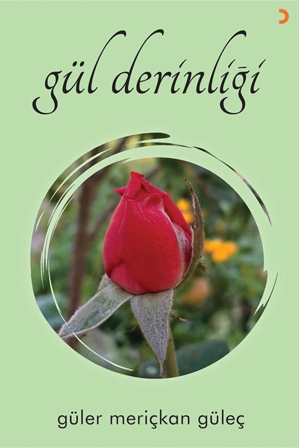 Cinius Yayınevi Gül Derinliği & Güler Meriçkan Güleç - Cinius Yayınevi - Image 1