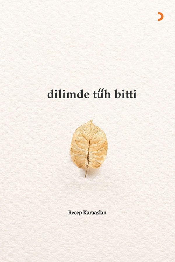 Cinius Yayınevi Dilimde Tüh Bitti & Recep Karaaslan - Cinius Yayınevi - Image 1