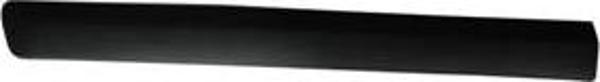 Dacıa Logan- Mcv- 06/08; Ön Kapı Bandı Sol Segmanlı (Pleksan) (Oem No: 6001549298) - Image 1