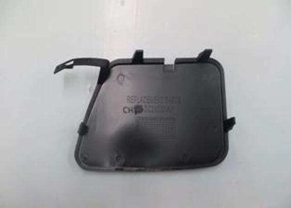 Dacıa Logan- 09/12; Arka Tampon Çeki Demiri Kapağı (Tw) (Oem No: 8200752810) - Image 1