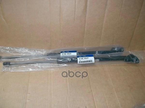 Hyundai H 1 Cargo [Tq] | İ800 | İload | H300 [2010 01~] 97 00 Bagaj Amortisörü  (Oem No:817804H020) - Image 1