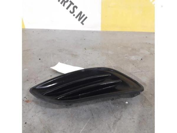 Sis Lamba Kapağı Alto 09-13 Ön Sağ (Sissiz) (Oem No: 71751-M68K005Pk) - Image 1