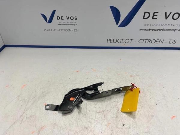 Motor Kaput Menteşesi : Sağ Opel Corsa F Bm 20- (Oem No: 9823211580) - Image 1