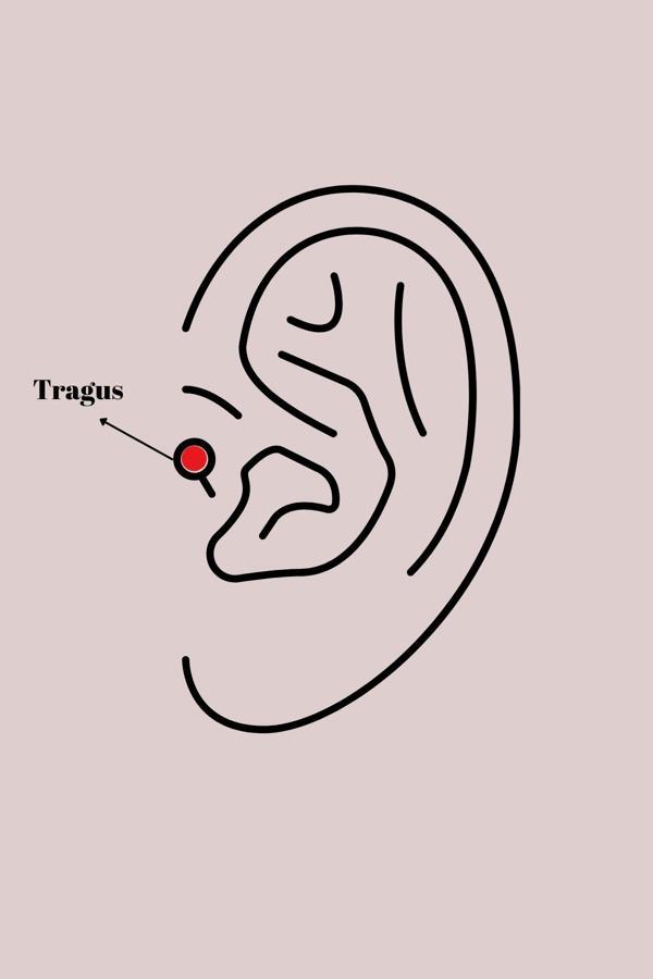 Zarif Kadın için Silver Çelik Zirkonlu Yıldız Stil Tragus Piercing - Image 1