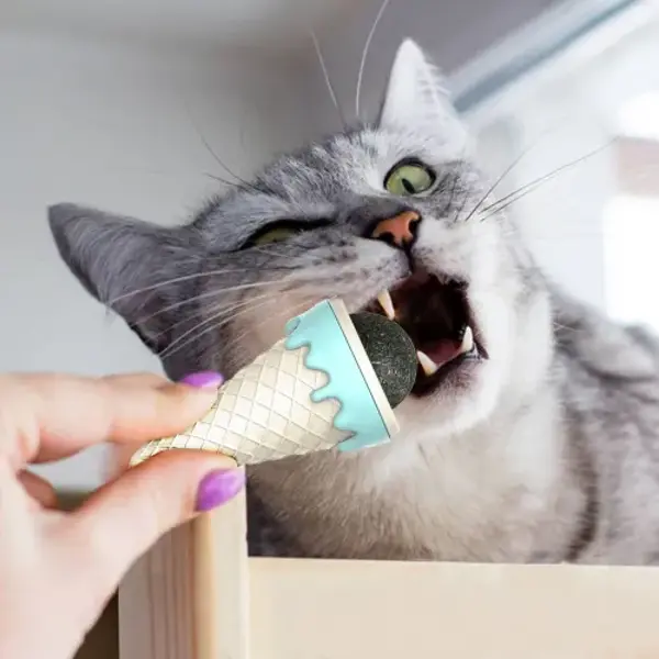 Dondurma Şeklinde Kedi Otu Nanesi - Image 1