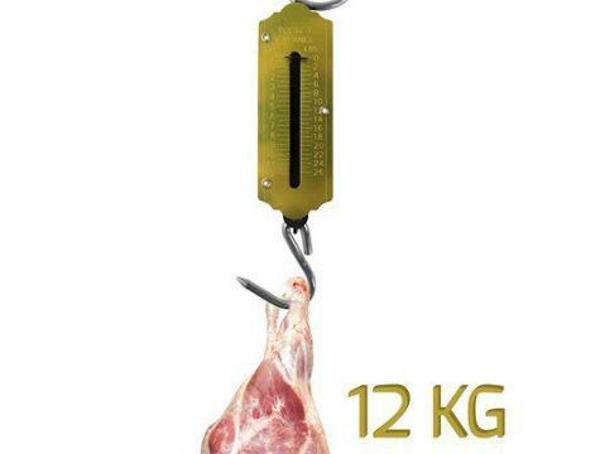 Büro Ev Ofis için 50KG El Tipi Kurbanlık Et Kantarı - Image 1