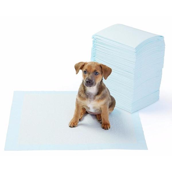 Büro Ev Evcil Hayvanı için 5PARÇA 90x60CM Köpek Tuvalet Eğitim Ped Seti - Image 1