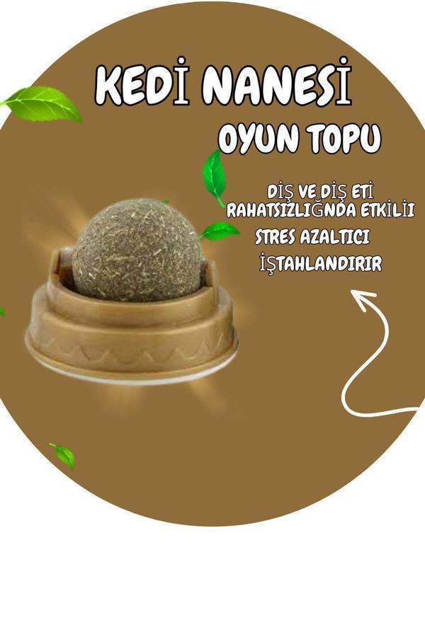 Alçin Kedi Nanesi Oyun Topu (Catnip) - Image 1