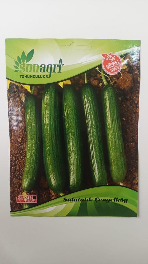 ByKurt Sunagri Çengelköy Salatalık Tohumu - 5 Gr | Lezzetli, Bol Verimli - Image 1