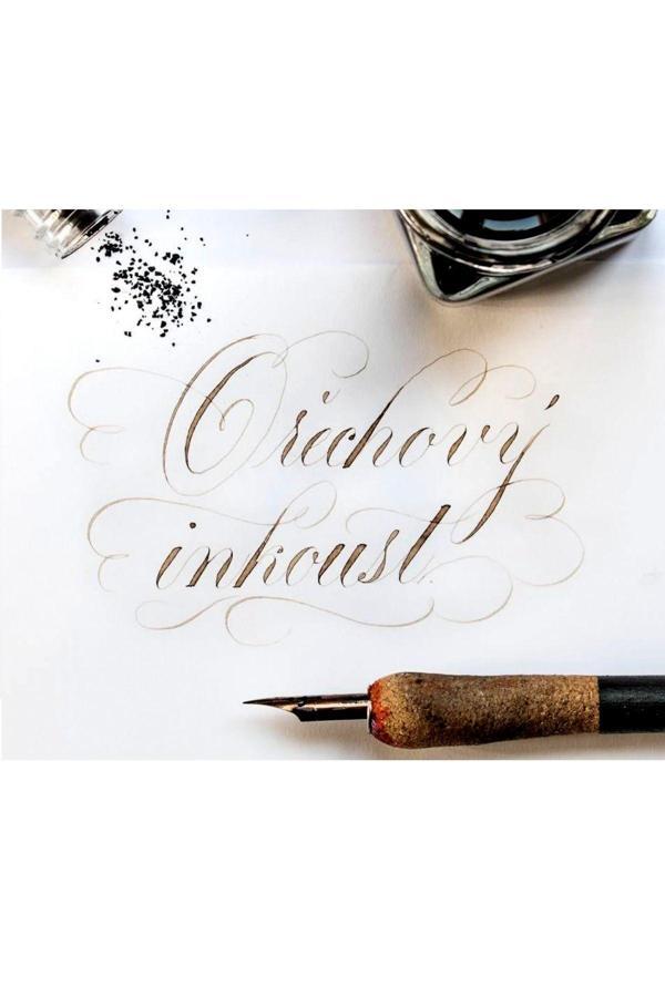 Sanathobi Walnut Ink Ceviz Mürekkebi-Gölge Yazı-Copperplate Mürekkebi-Walnut 25Ml-İnk - Image 1