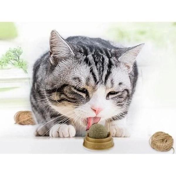 Kedi Nanesi Oyun Topu - Image 1
