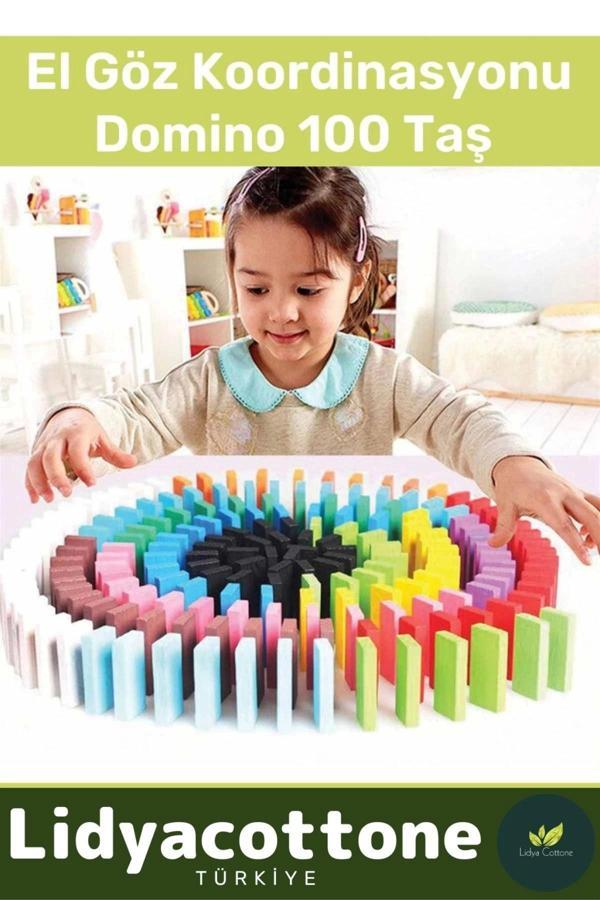 Zeka Geliştirici Eğitici El Göz Koordinasyonu Okul Öncesi Eğitim Renkli Domino 100 Taş - Image 1