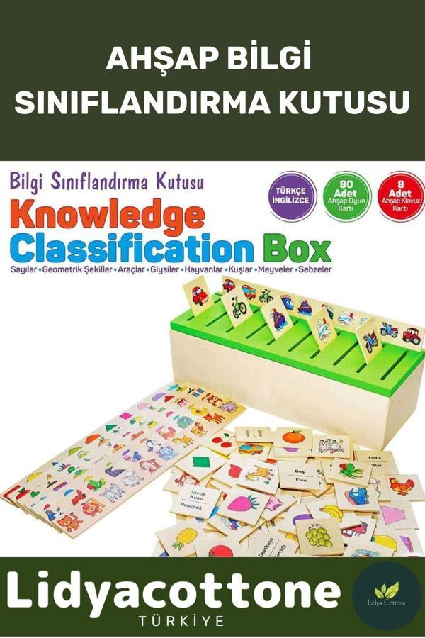 Premium Zeka Geliştirici Kişisel Gelişim Çocuk Ahşap Bilgi Sınıflandırma Kutusu Eğitici Öğretici - Image 1