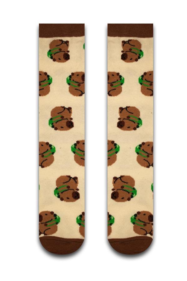 Capybara Renkli Erkek Çorap - Image 1