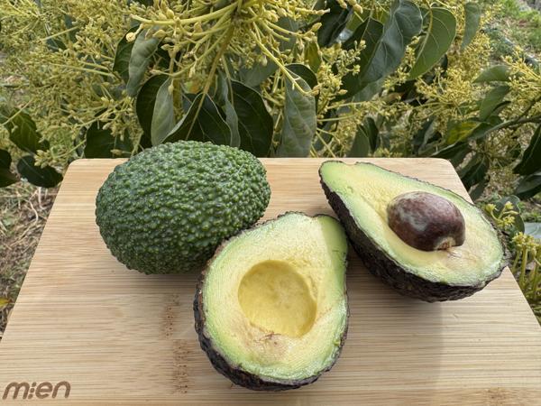 Hass Avokado - Doğallığın ve Lezzetin Saf Hali (KG) (200Gr Üzeri) - Image 1