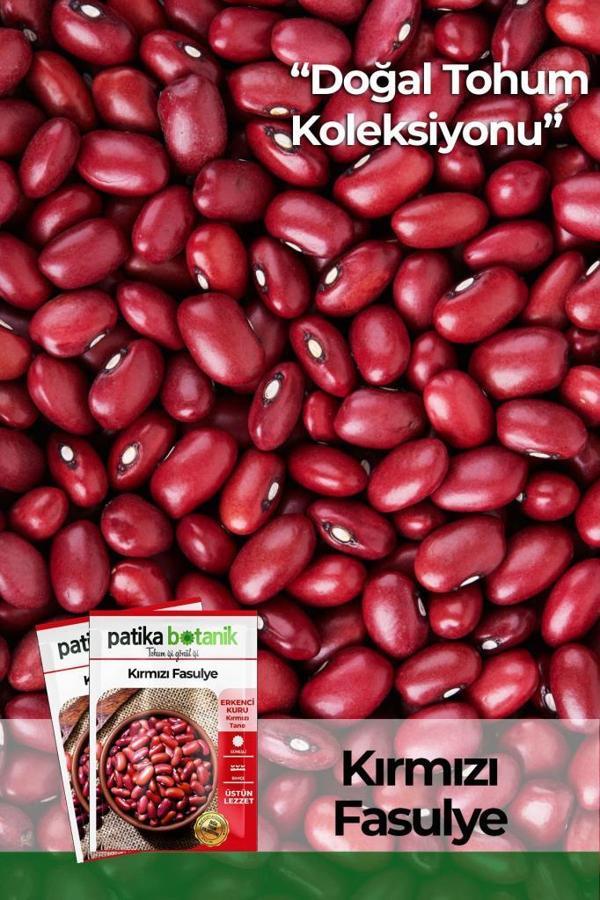 50 Adet Kırmızı Fasulye Tohumu - Image 1